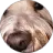 Paula Martin profile picture